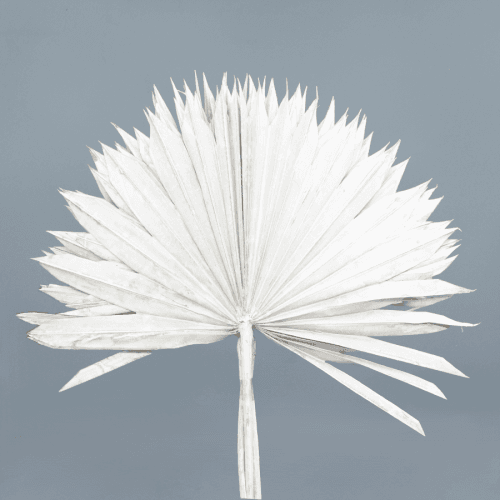 Ramo Sun seco branco, Flor seca de 50 cm de comprimento, conjunto de 2 hastes