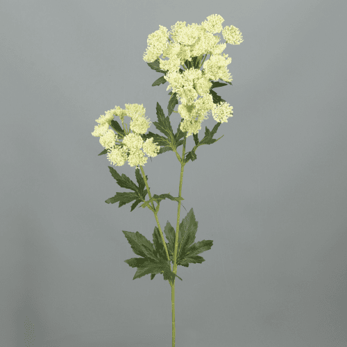 Ammi Artificiel (Dentelle de la Reine), Fleur artificielle de 76 cm de long, lot de 12 unités
