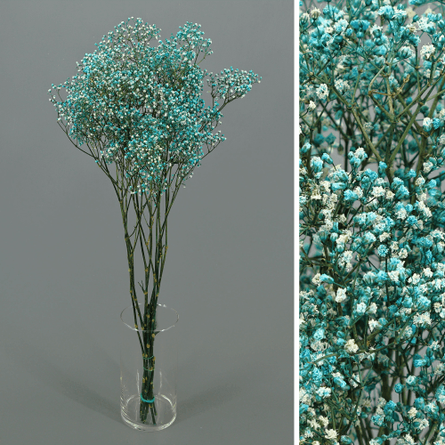 Gipsófila Million Stars preservada azul, Flor preservada