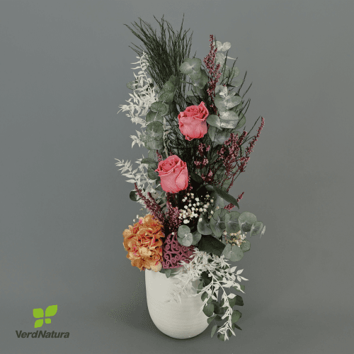 Y Centro Gala Premium, Purpura/Blanco