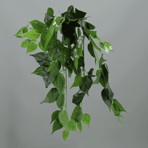 Philodendron Artificiel Suspendu