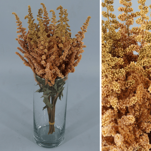 Astilbe Vision preservada crema, Flor preservada de 50 cm de largo