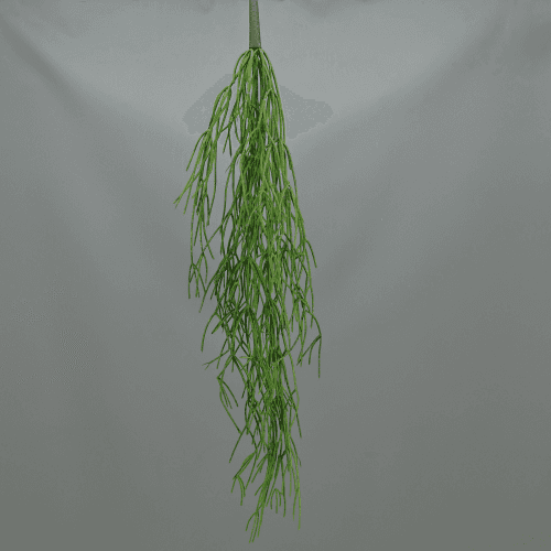 Rhipsalis Artificiel Suspendu