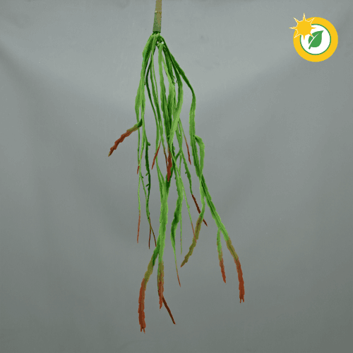 Vallisneria Artificiel Suspendu Extérieur
