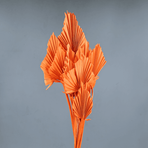 Palma Seca Coral Spear