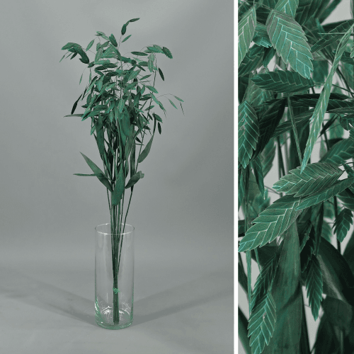 Chasmanthium latifolium preservado azul