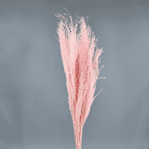 Plumero Rosa Artificial 80cm, Flor preservada de 80 cm de largo, pack de 2 uds