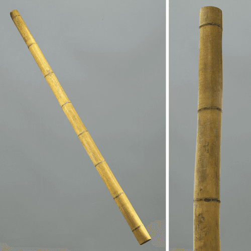 Bambou séché jaune, Fleur séchée de 230 cm de long, lot de 3 tiges