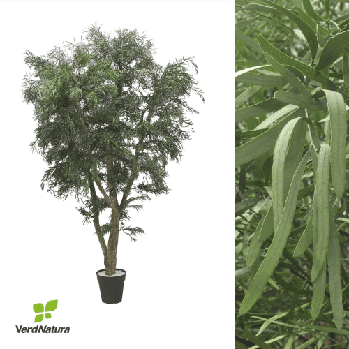 Árvore Nicholy preservada, Flor preservada de 200 cm de comprimento