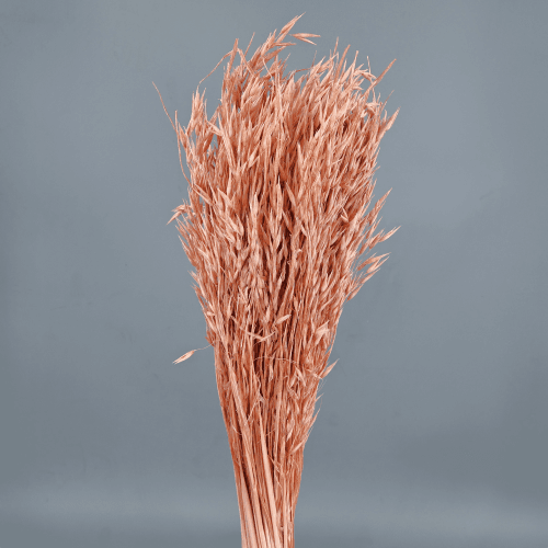 Avena Sativa 200 gr