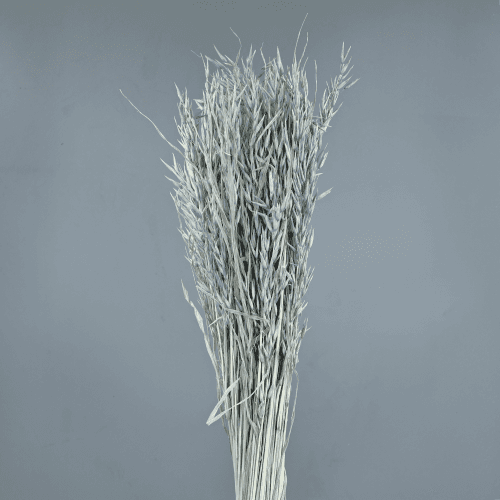 Avena Sativa 200 gr
