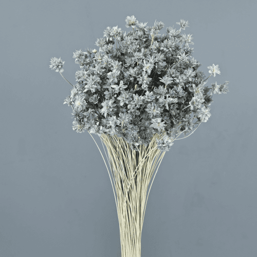 Hill Flower seca azul-claro