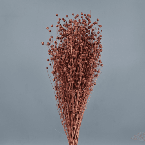 Lino seco púrpura, Flor seca de 50 cm de largo