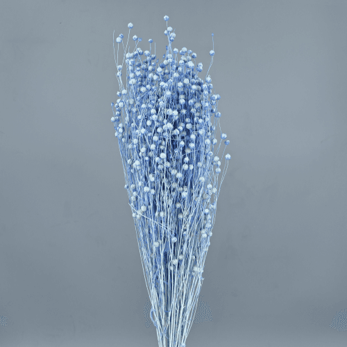 Lli Sec Blau Clar