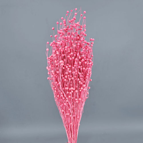 Flor de lino seca rosa, Flor seca de 50 cm de largo