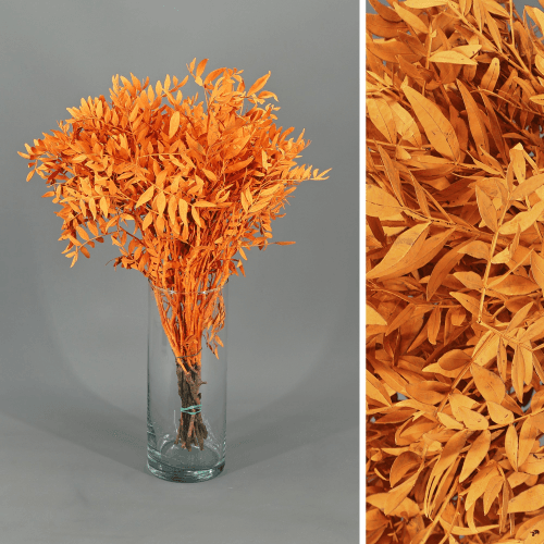 Lentisco pintado laranja preservado, Flor preservada de 30-50 cm de comprimento