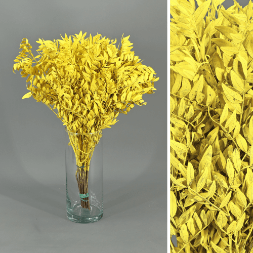 Lentisco pintado amarelo preservado, Flor preservada de 30-50 cm de comprimento