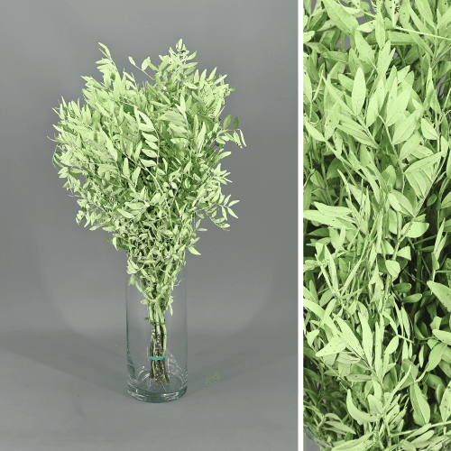 Lentisco pintado verde menta preservado, Flor preservada de 30-50 cm de comprimento