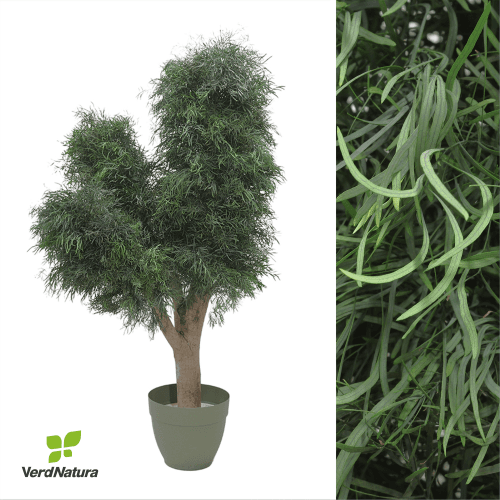 Árvore Nicholy preservada pirâmide, Flor preservada de 200 cm de comprimento