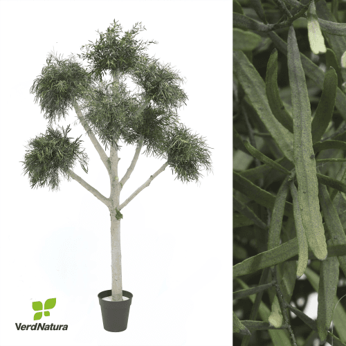 Árvore Ibiza Nicholy preservada, Flor preservada de 180 cm de comprimento