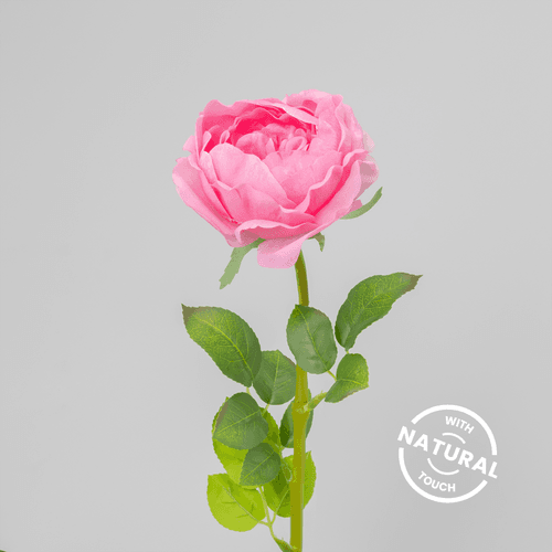 Rose Pivoine Artificielle, Fleur artificielle de 61 cm de long, lot de 12 unités