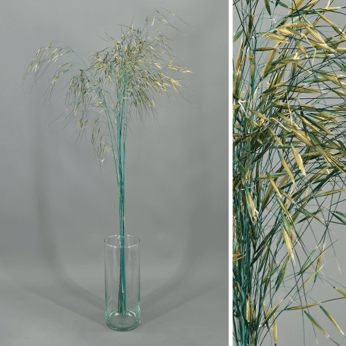 Stipa gigante preservada azul, Flor preservada de 60-80 cm de comprimento, conjunto de 2 unidades