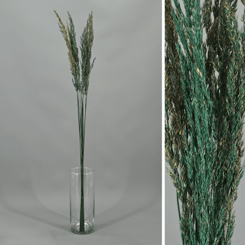 Calamagrostis preservada azul, Flor preservada de 60-80 cm de comprimento, conjunto de 2 unidades