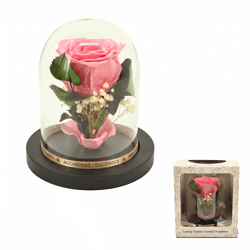 Rosa Preservada em Redoma "Muitos Parabéns" (Rosa e Laranja), Flor preservada de 14 cm de comprimento