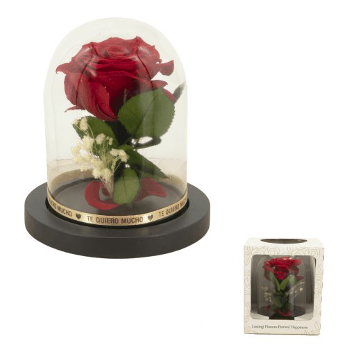 Rosa Preservada Roja en Cúpula "Te Quiero", Flor preservada de 14 cm de largo