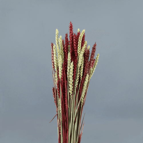 Trigo Seco Mix Granate