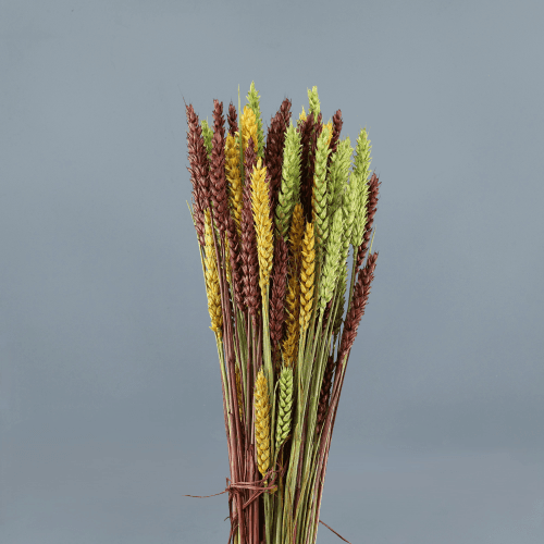 Trigo Seco Mix Verde