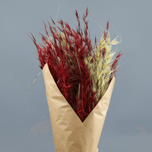 Avena Salvaje Mix Granates