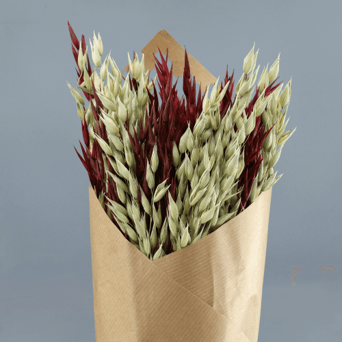 Bouquet d'Avoine Séchée Ton Grenat
