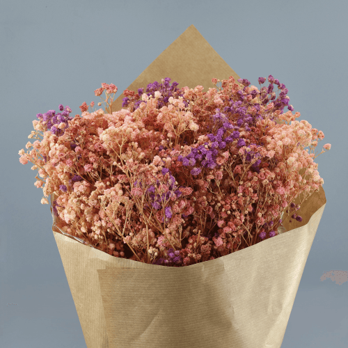 Paniculata preservada rosa, Flor preservada de 40-50 cm de longo