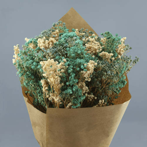 Ramo de Gipsófila Preservada Azul, Flor preservada de 40-60 cm de comprimento