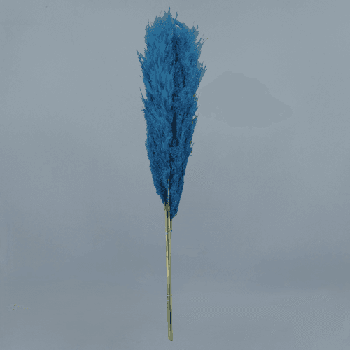 Plumero preservado Azul