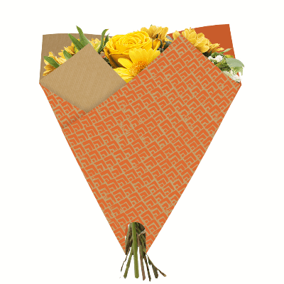 Embalagem Renda Laranja (Lote 25)