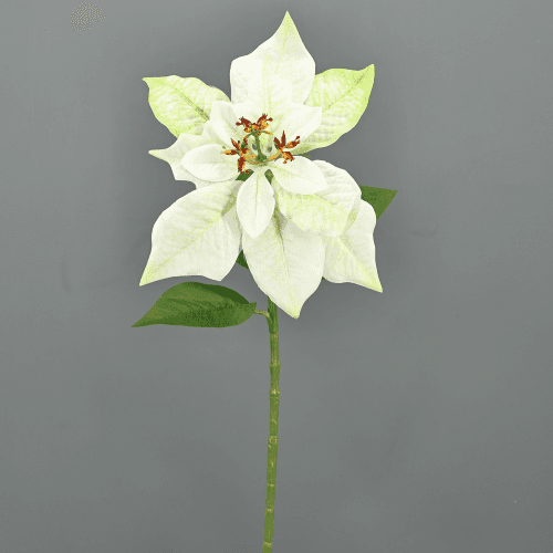 Poinsettia Artificial en crema o burdeos, 60 cm (12 u.)