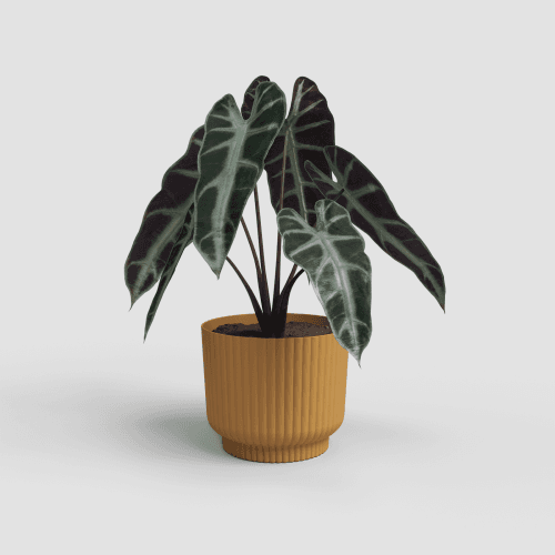 Pot Miami Wavy assorti, 14,7 cm (2 unités) Artevasi