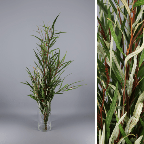 Grevillea 300 gr, Verde, 100cm