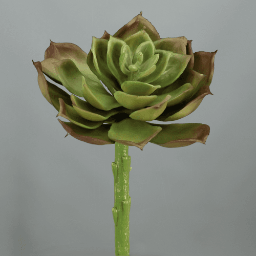 Lot de 3 succulentes artificielles Aeonium 14 cm