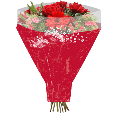 Blonda Decorativa Wishes Vermella, 50 cm