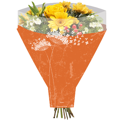 Blonda Decorativa Wishes Laranxa, 50 cm