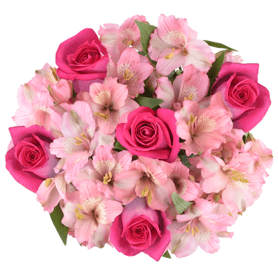 Bouquet  1465349 MAR-4 Pink/Rs Hot Pink