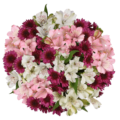 Bouquet  1465351 MAR-3 White/Pink