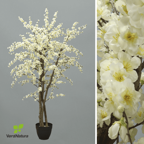 Y Almendro Verdnatura Premium, Blanco