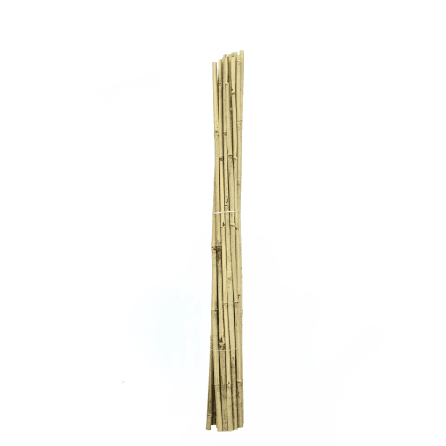 Tige de bambou pour couronnes funéraires Natural, 150-180 cm (50-100 unités)