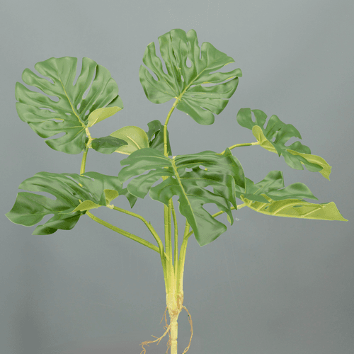 Plante Monstera Artificielle 3D