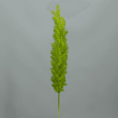 Asparagus Artificiel, Fleur artificielle de 72 cm de long, lot de 6 unités