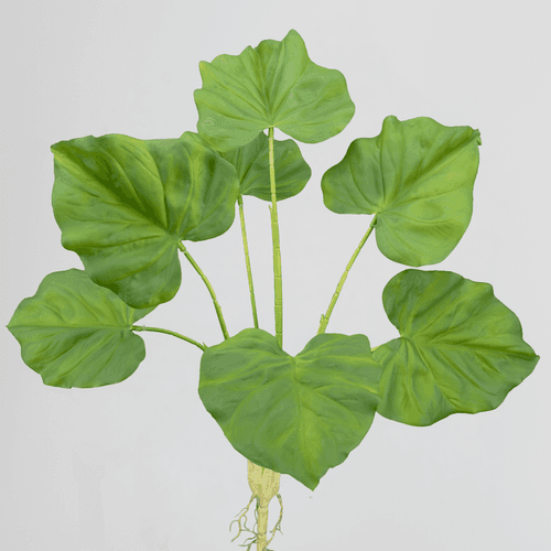 Calathea Artificiel